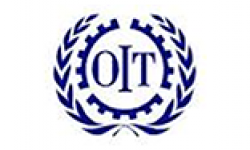 OIT